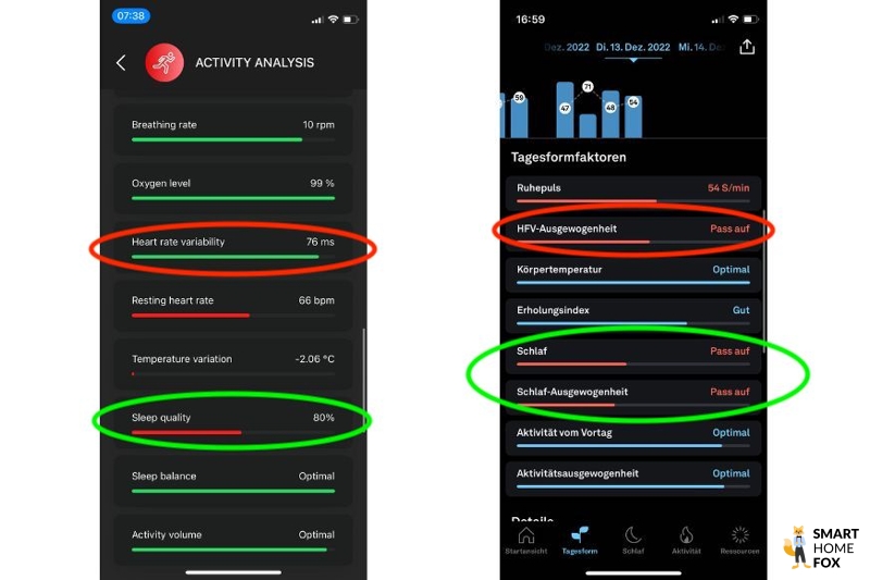 Man sieht die Aktivitätsdaten des Oura und des Circular Rings.